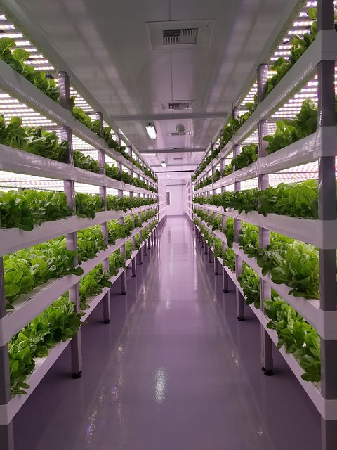 Best ideas about Indoor Vertical Farming
. Save or Pin Vertical Farming for the Future Now.