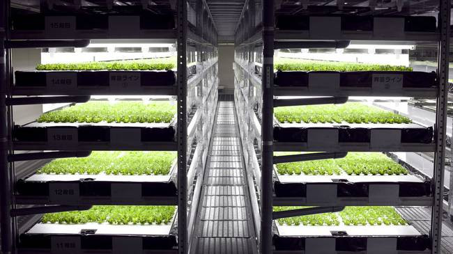 Best ideas about Indoor Vertical Farming
. Save or Pin Vertical farms Wrong on so many levels TreeHugger Now.