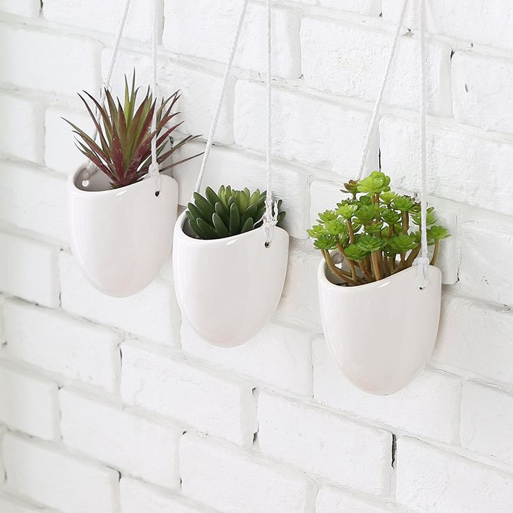 Best ideas about Indoor Wall Planters
. Save or Pin Best 25 Indoor wall planters ideas on Pinterest Now.