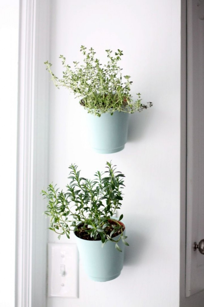 Best ideas about Indoor Wall Planters
. Save or Pin 18 Alluring Indoor Wall Hanging Planter Designs Now.