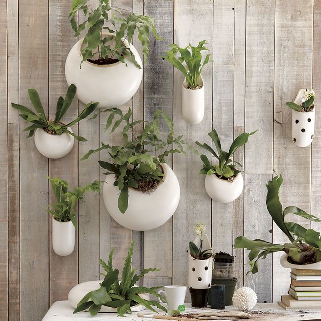 Best ideas about Indoor Wall Planters
. Save or Pin Shane Powers Ceramic Wall Planters Contemporary Indoor Now.