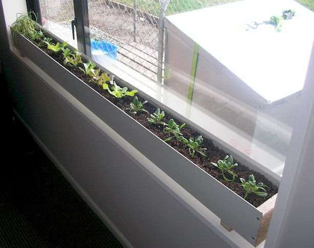 Best ideas about Indoor Window Planter
. Save or Pin Best 25 Indoor window boxes ideas on Pinterest Now.