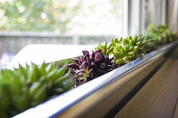 Best ideas about Indoor Window Planter
. Save or Pin Indoor Gardening Ideas to Beautify Your Space Now.