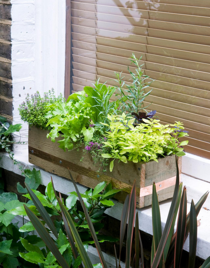 Best ideas about Indoor Window Planter
. Save or Pin indoor window planter Now.