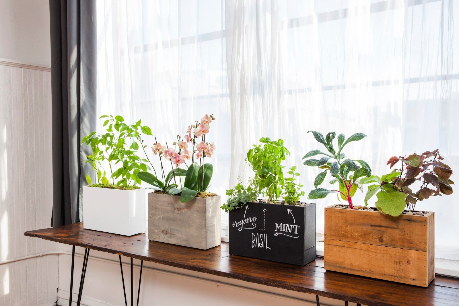 Best ideas about Indoor Window Planter
. Save or Pin Modern Sprout Automatically Waters and Feeds Your Plants Now.