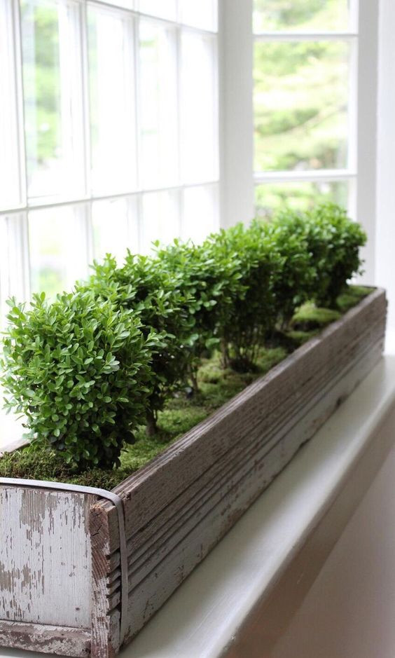 Best ideas about Indoor Window Planter
. Save or Pin 35 Chic Ways To Rock Plants In Your Interiors DigsDigs Now.