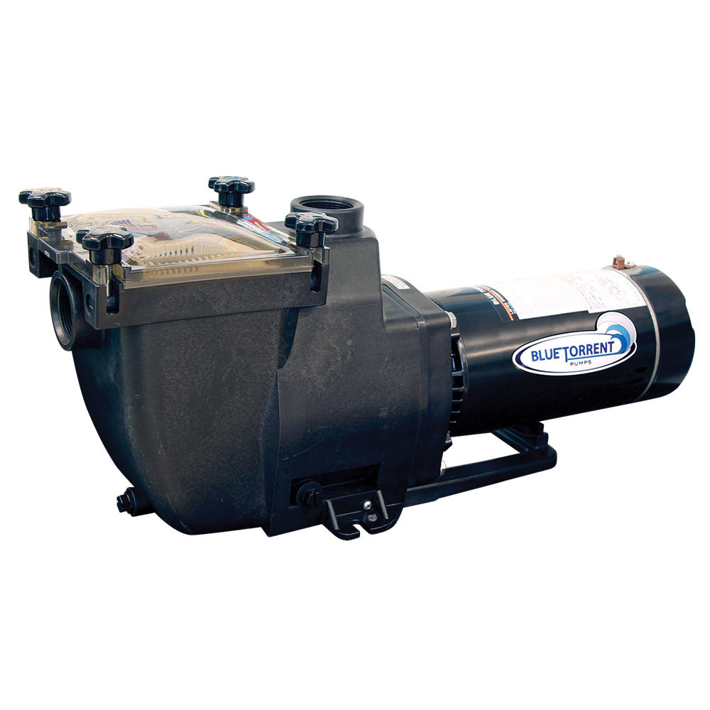 Best ideas about Inground Pool Pump And Filter
. Save or Pin Blue Torrent Swimming Pool Typhoon In Ground Filter Pump 1 Now.