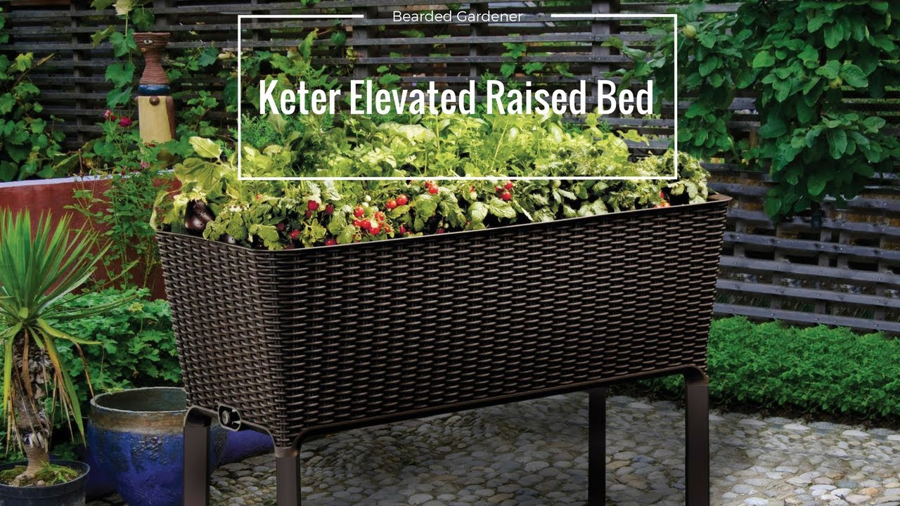 Best ideas about Keter Easy Grow Elevated Flower Garden Planter
. Save or Pin Keter Raised Garden Bed Home Depot Garden Decorating Ideas Now.