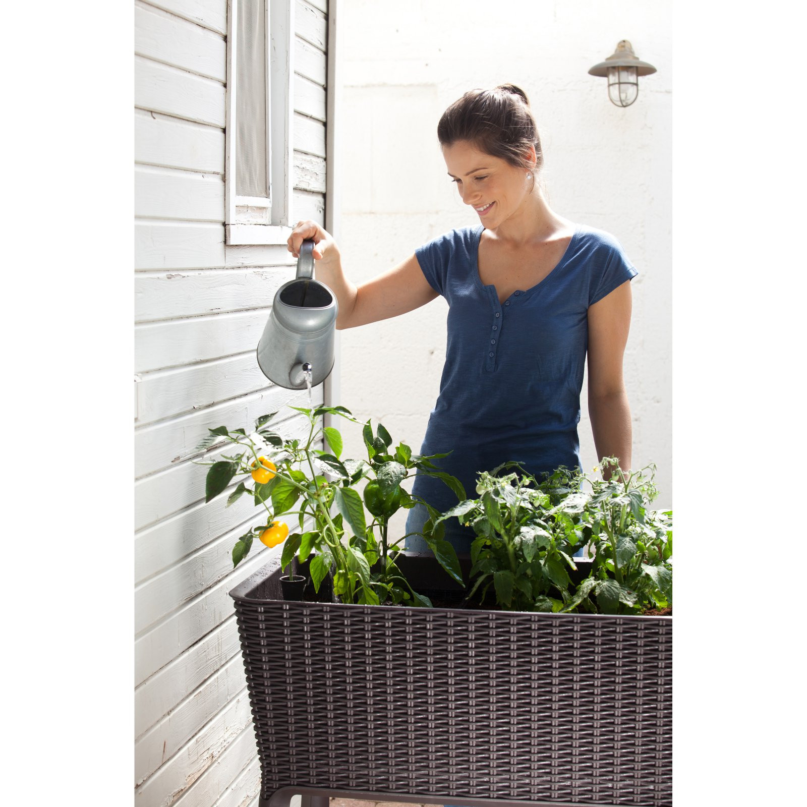 Best ideas about Keter Easy Grow Elevated Flower Garden Planter
. Save or Pin Keter Easy Grow Outdoor Resin Wicker Raised Planter Box Now.