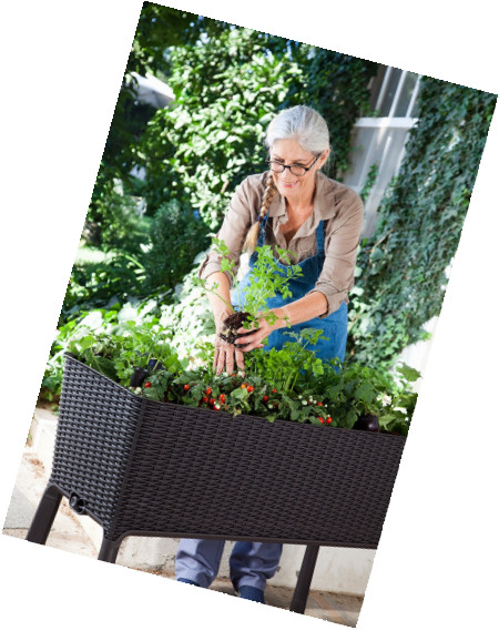 Best ideas about Keter Easy Grow Elevated Flower Garden Planter
. Save or Pin Garden Flower Plant Planter Patio Raised Elevated Garden Now.