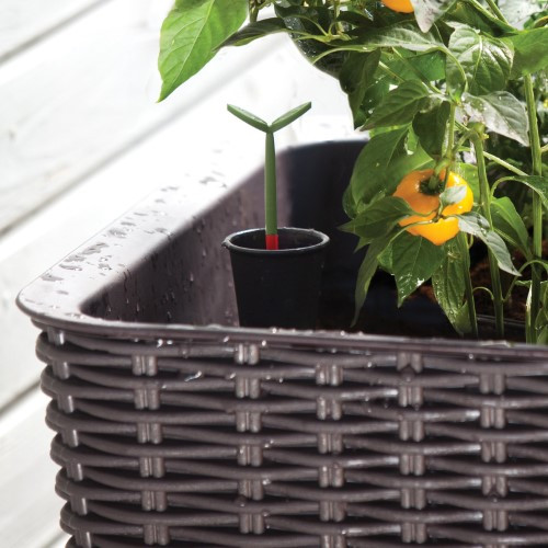 Best ideas about Keter Easy Grow Elevated Flower Garden Planter
. Save or Pin Keter Elevated Garden Bed Black Now.