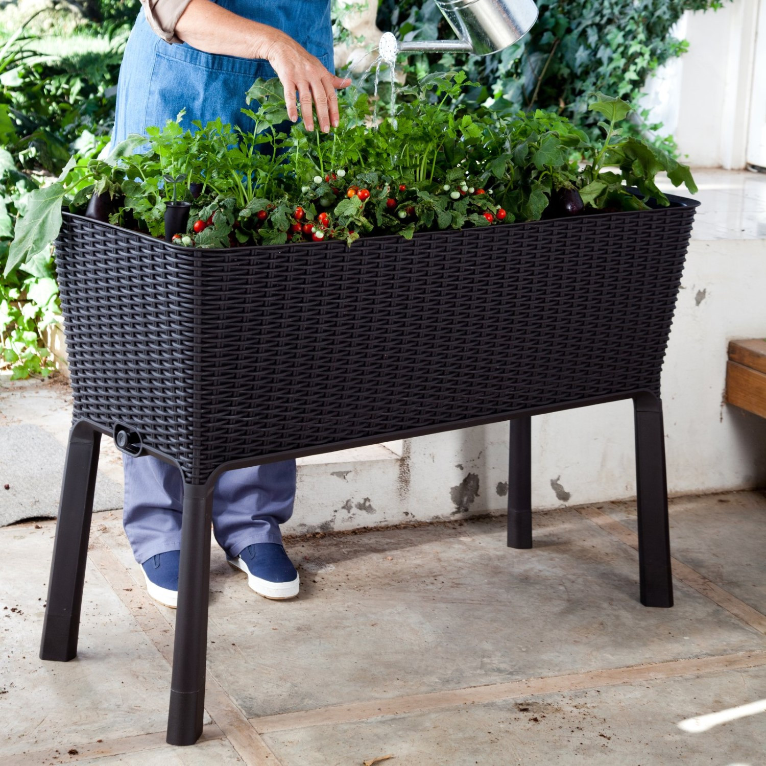 Best ideas about Keter Easy Grow Elevated Flower Garden Planter
. Save or Pin Keter Elevated Garden Bed Black Now.