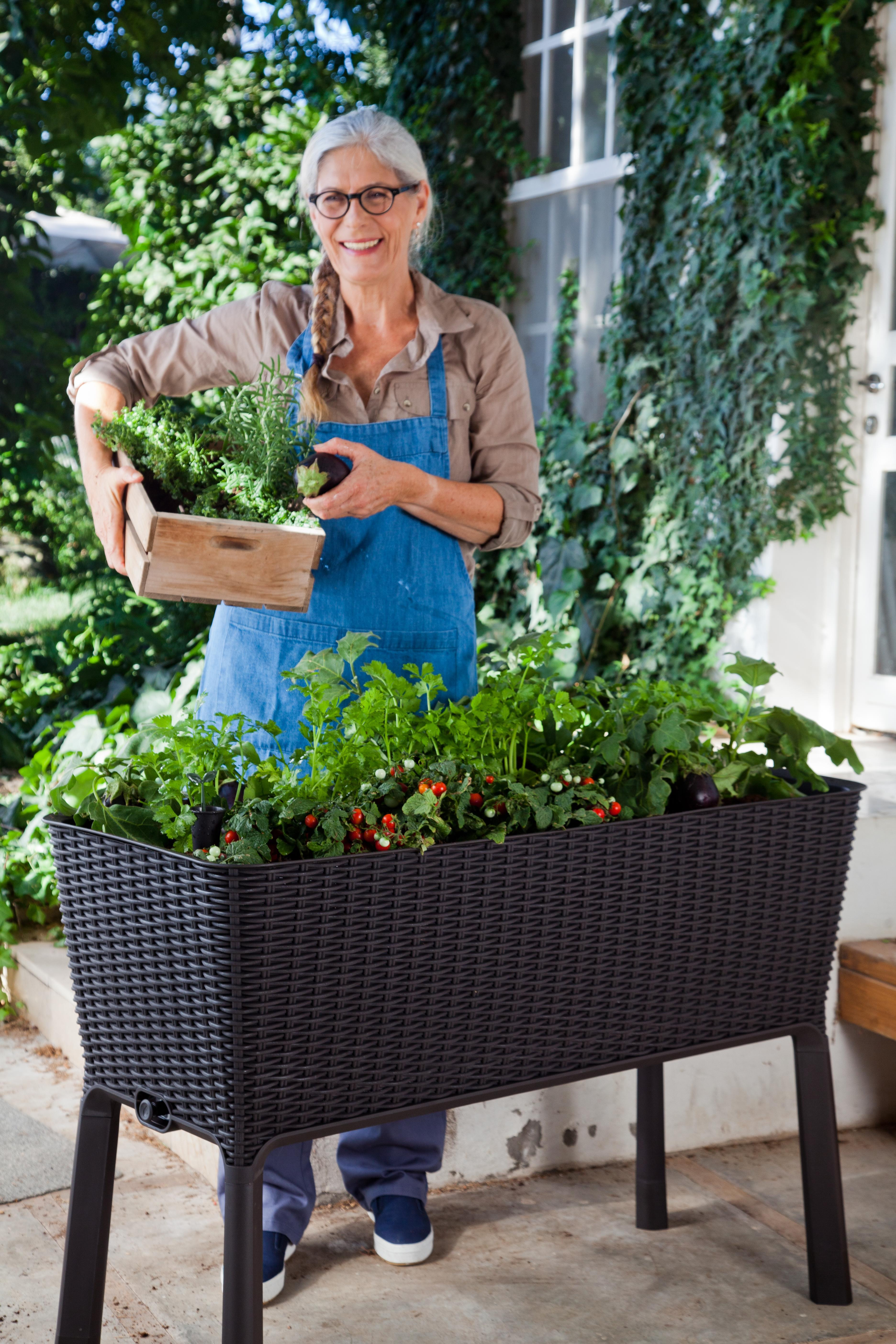 Best ideas about Keter Easy Grow Elevated Flower Garden Planter
. Save or Pin Amazon Keter Easy Grow Patio Garden Flower Plant Now.