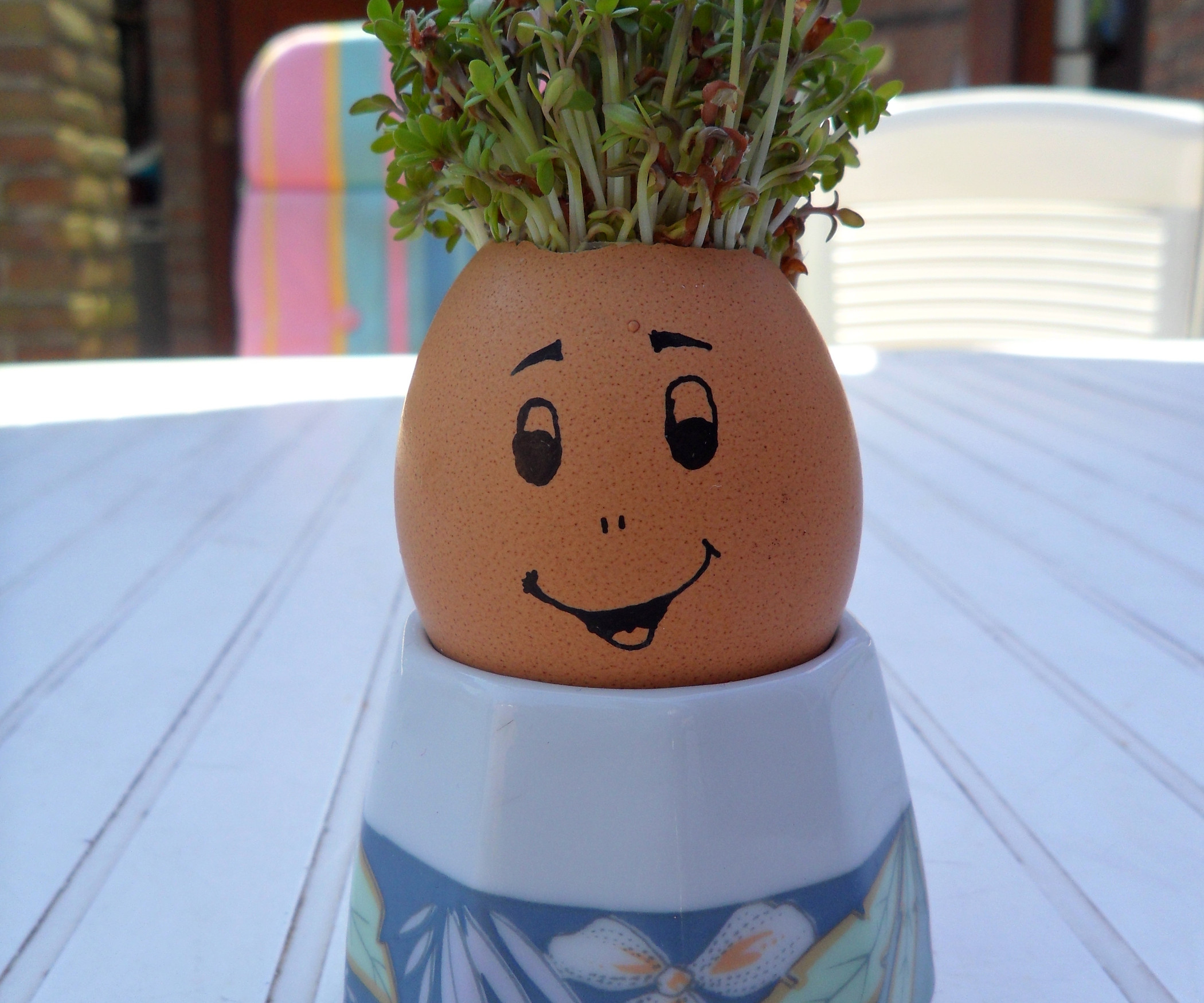 Best ideas about Kids Project Idea
. Save or Pin Kids project Mister Sprout 3 Now.