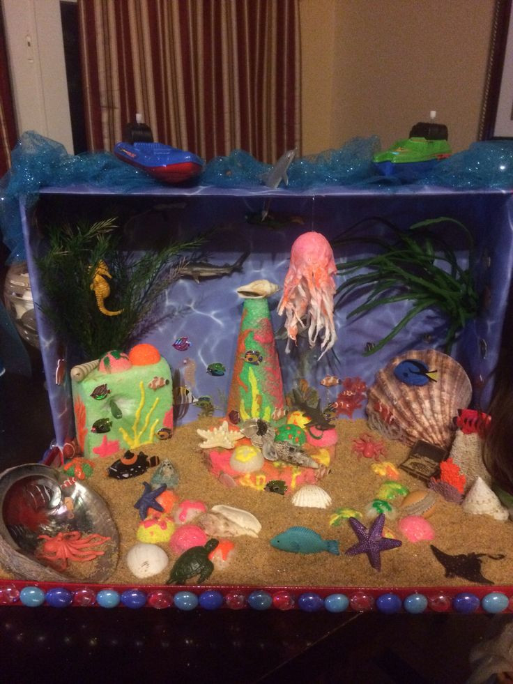 Best ideas about Kids Project Idea
. Save or Pin Ocean habitat project Education Now.