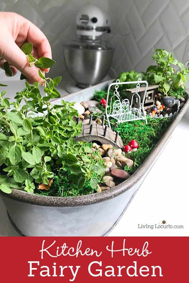Best ideas about Kitchen Herb Garden Ideas
. Save or Pin How to Make the Cutest Fairy Garden for Your Kitchen Now.