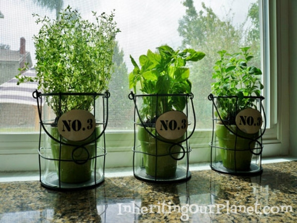 Best ideas about Kitchen Herb Garden Ideas
. Save or Pin 21 Kitchen Herb Garden Ideas Fit for Every Space Now.