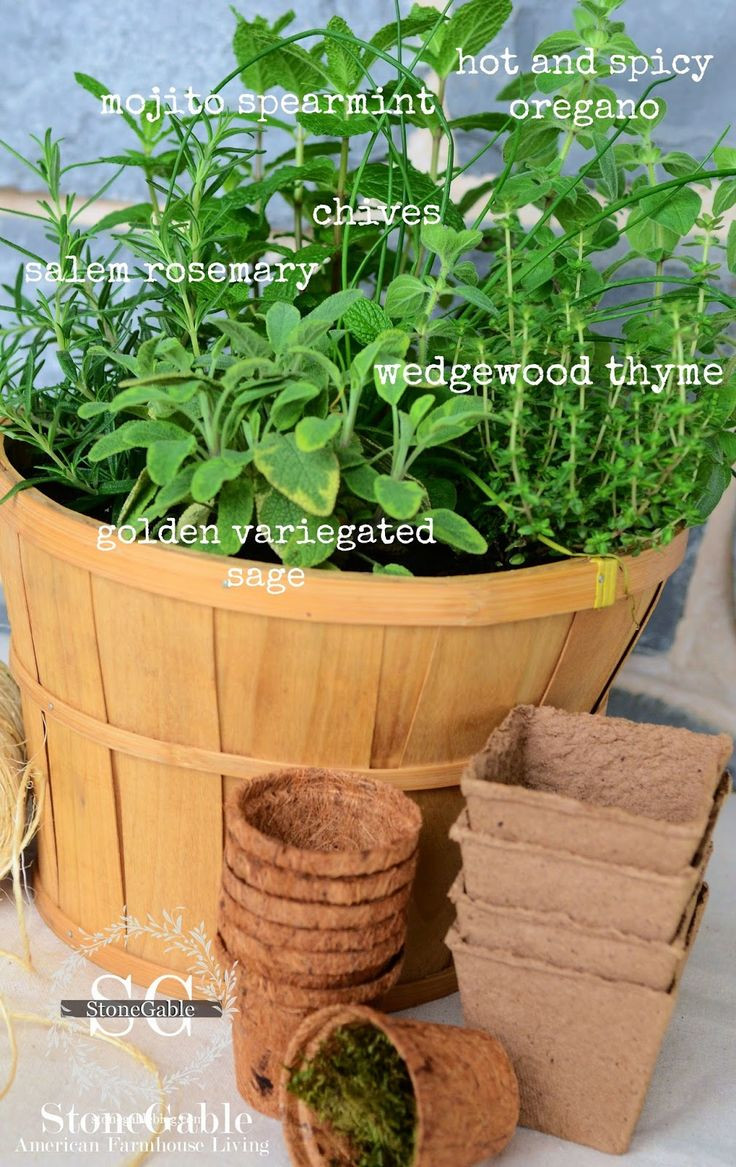 Best ideas about Kitchen Herb Garden Ideas
. Save or Pin 1000 ideas about Kitchen Herb Gardens on Pinterest Now.