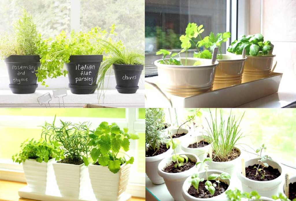 Best ideas about Kitchen Herb Garden Ideas
. Save or Pin Kitchen Herb Garden Ideas Now.