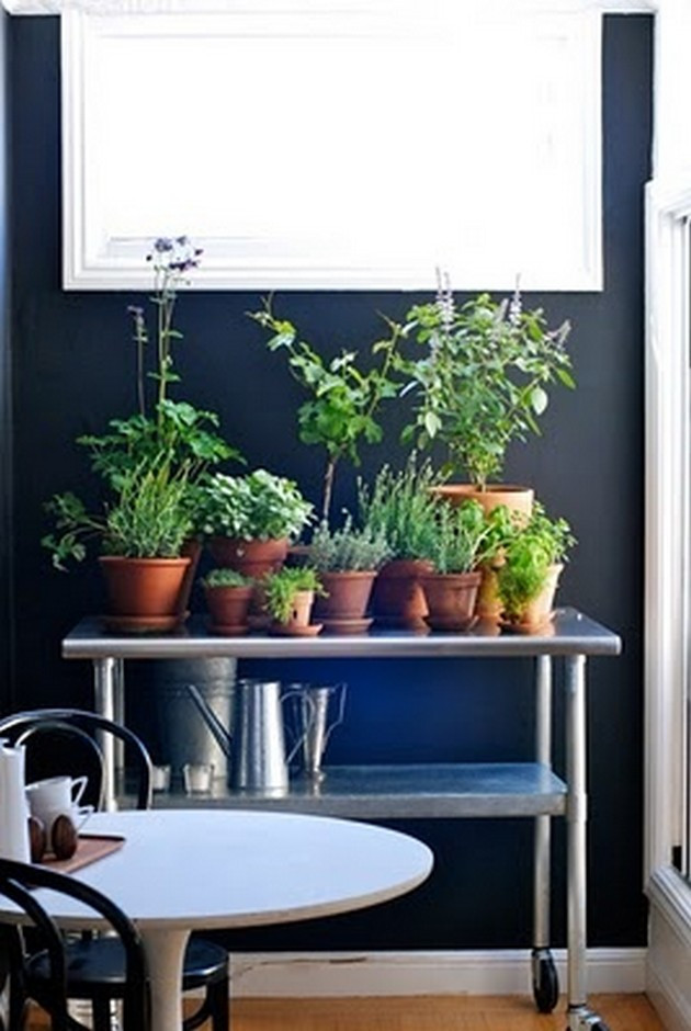 Best ideas about Kitchen Herb Garden Ideas
. Save or Pin Kitchen Herb Garden Ideas 12 Pics Now.