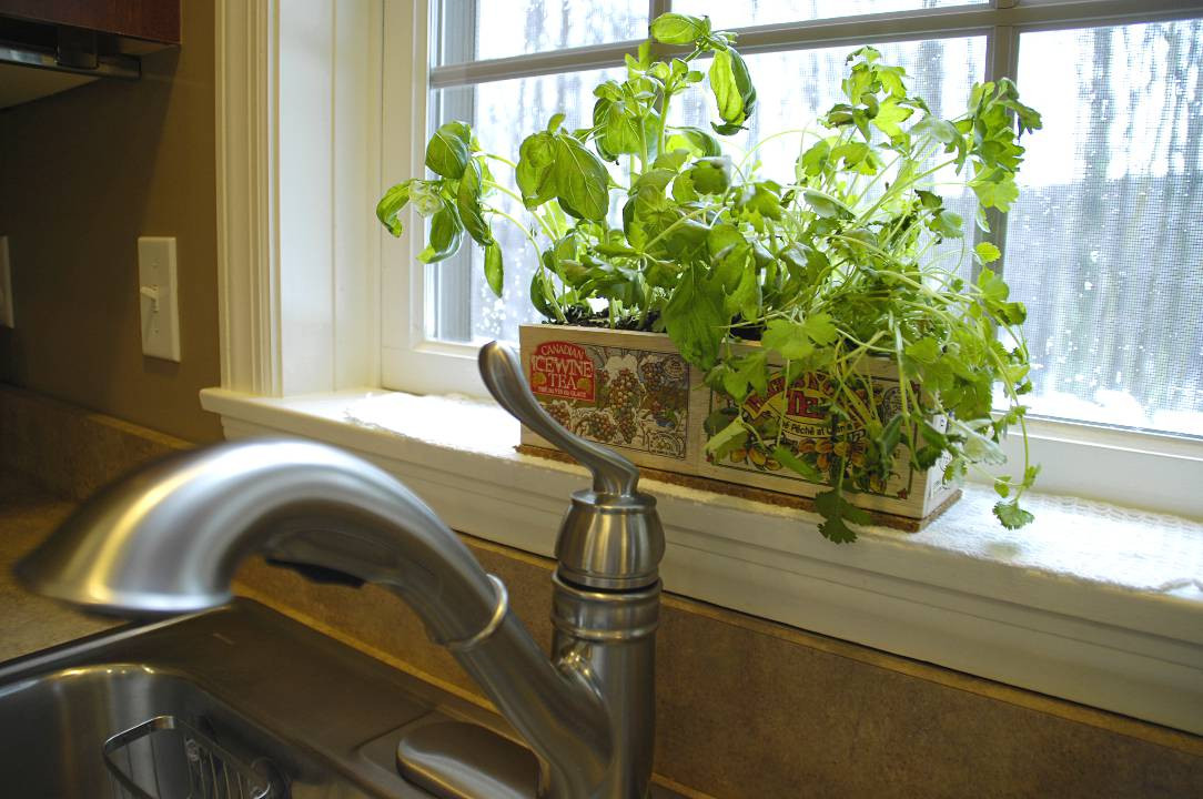 Best ideas about Kitchen Herb Garden Ideas
. Save or Pin kitchen herb garden ideas Archives Living Rich on Now.