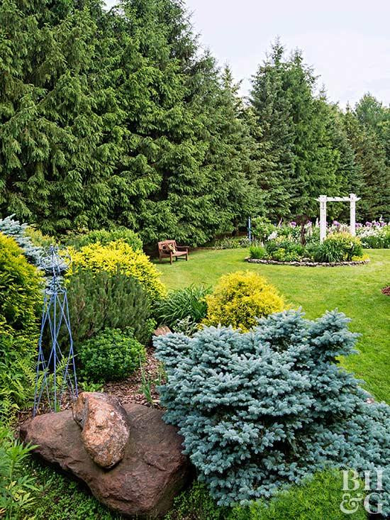 Best ideas about Landscape Around Trees
. Save or Pin 10 Outstanding Evergreen Trees for Privacy Now.