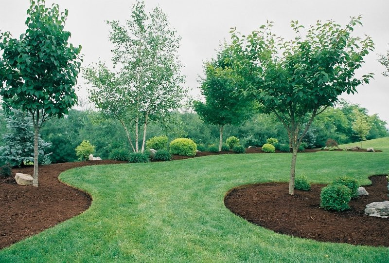 Best ideas about Landscape Around Trees
. Save or Pin Roy’s Lawn Service & Landscape Landscaping Glendale Now.