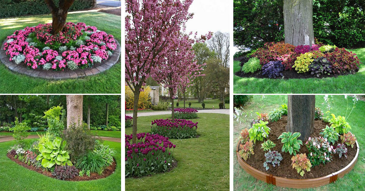 Best ideas about Landscape Around Trees
. Save or Pin 18 Genius Flower Beds Around Trees You Need To See The Now.