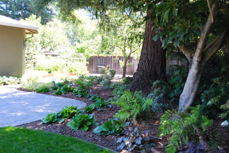 Best ideas about Landscape Around Trees
. Save or Pin landscaping in shade Now.