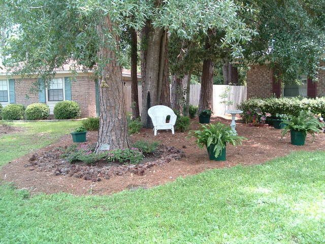 Best ideas about Landscape Around Trees
. Save or Pin Landscaping under large pine trees Gardening Now.