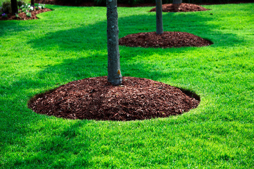 Best ideas about Landscape Around Trees
. Save or Pin Methods of Checking Soil Erosion · Soil and Water Conservation Now.