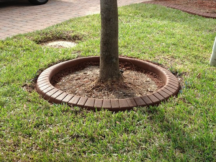 Best ideas about Landscape Around Trees
. Save or Pin Perfect circle tree ring Brick stamp Now.