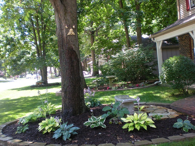 Best ideas about Landscape Around Trees
. Save or Pin Front Hosta Garden Now.