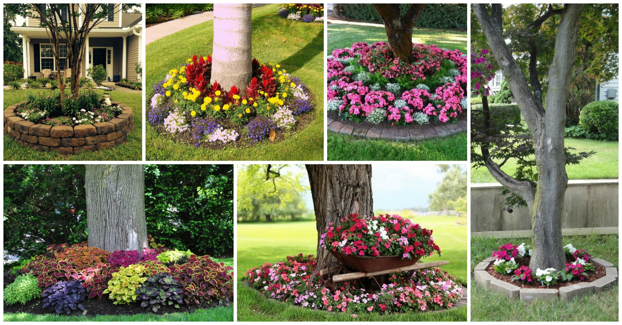 Best ideas about Landscape Around Trees
. Save or Pin 15 Beautiful Ideas For Decorating The Landscape Around Now.