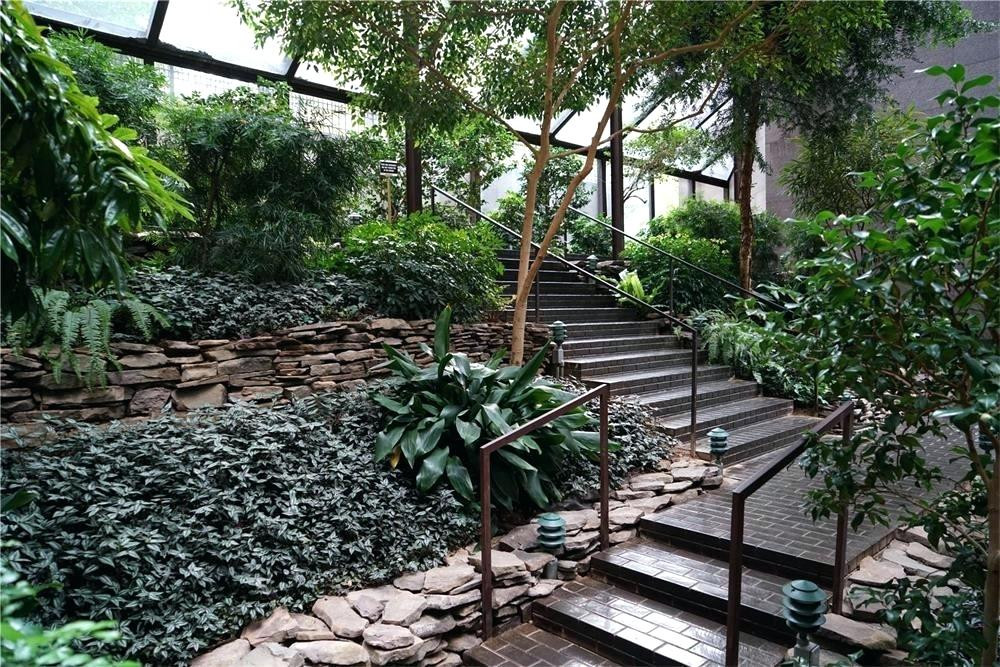Best ideas about Landscape Designer Salary
. Save or Pin Interior Landscape Interior Landscape Plant Wires Project Now.