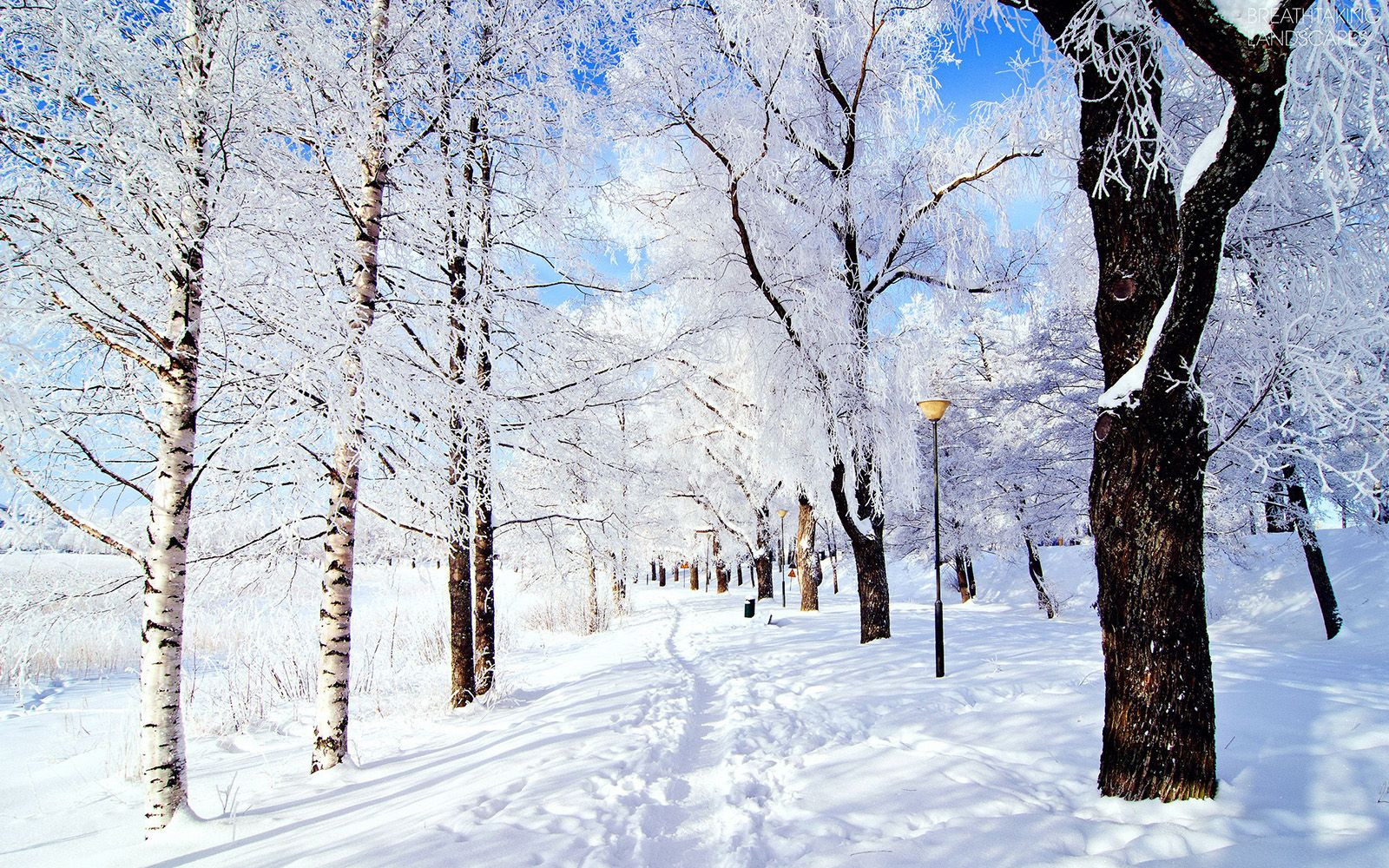 Best ideas about Landscape With Snow
. Save or Pin Snow Breathtaking Landscapes Now.