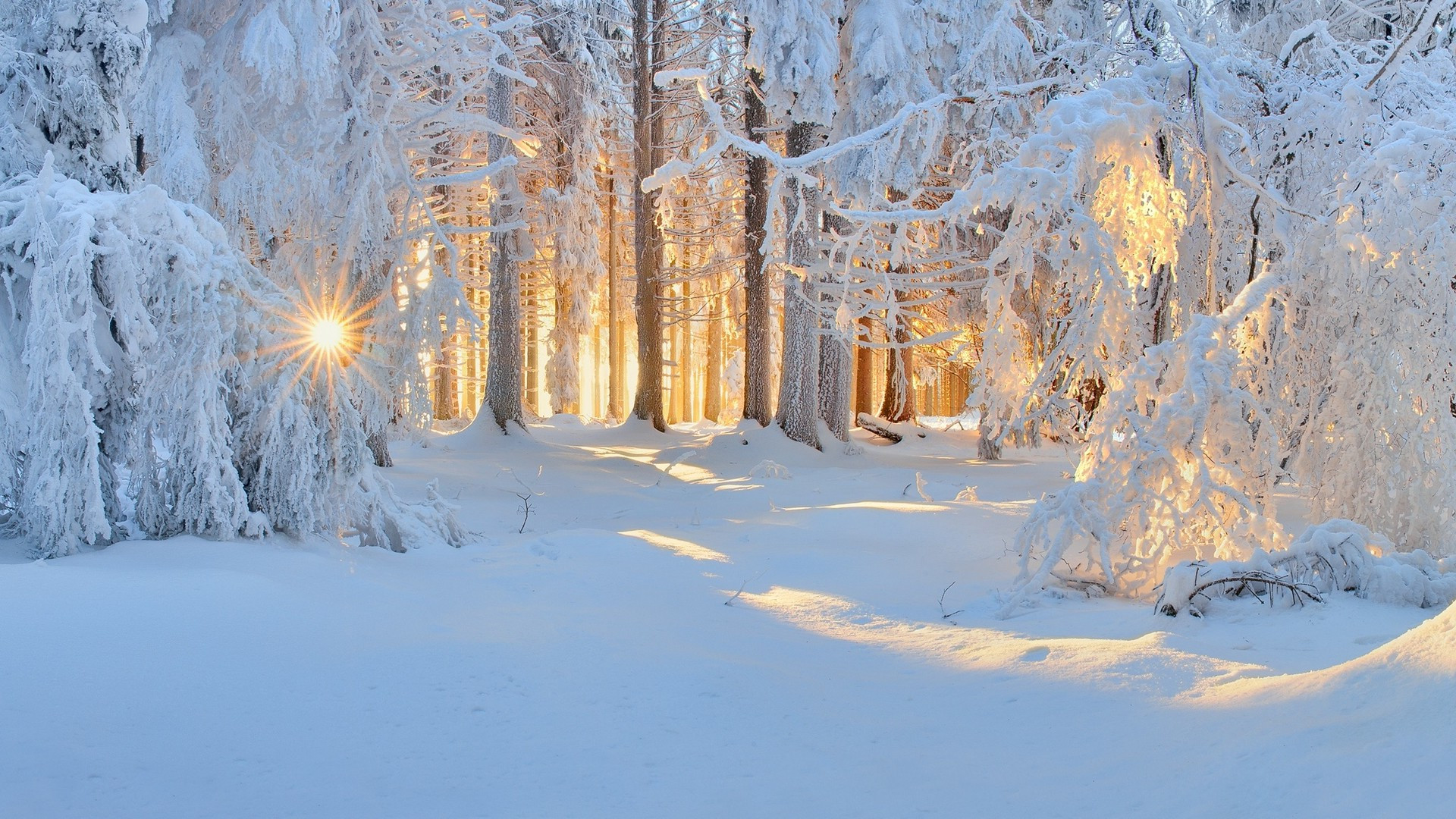 Best ideas about Landscape With Snow
. Save or Pin sunrise Winter Nature Forest Snow Landscape Trees Now.