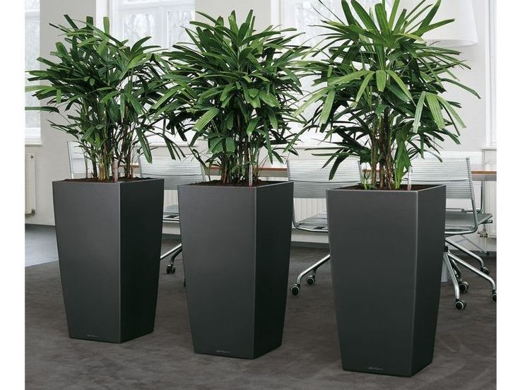 Best ideas about Large Indoor Planters
. Save or Pin Gardening In Restricted Spaces Indoor Planter Boxes Now.