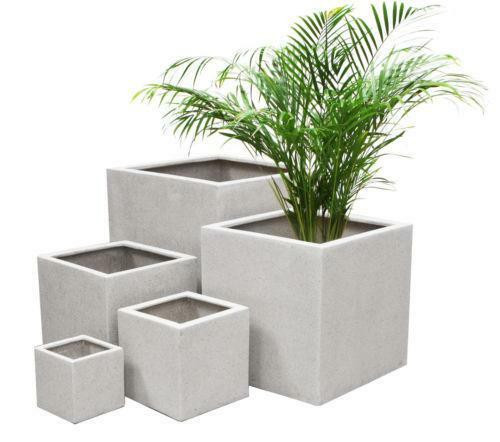 Best ideas about Large Indoor Planters
. Save or Pin Indoor Planter Now.