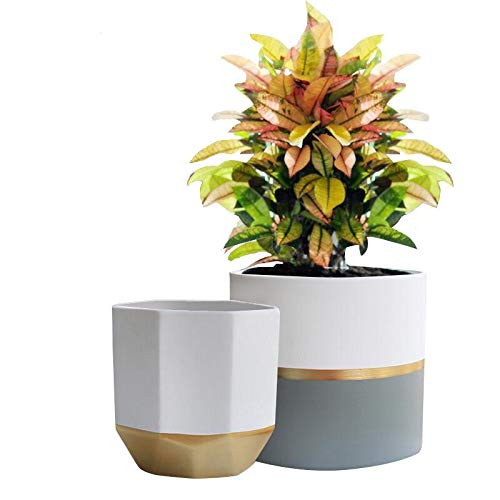 Best ideas about Large Indoor Planters
. Save or Pin Indoor Planters Amazon Now.