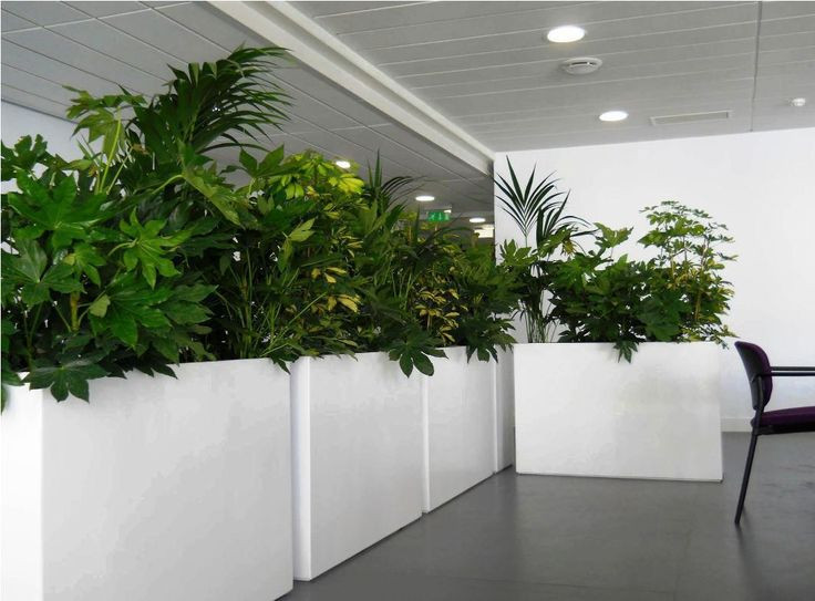 Best ideas about Large Indoor Planters
. Save or Pin 133 best Outdoor Living images on Pinterest Now.