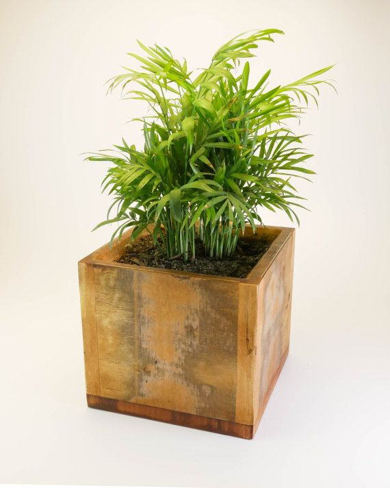 Best ideas about Large Indoor Planters
. Save or Pin Best 25 indoor planters ideas on Pinterest Now.