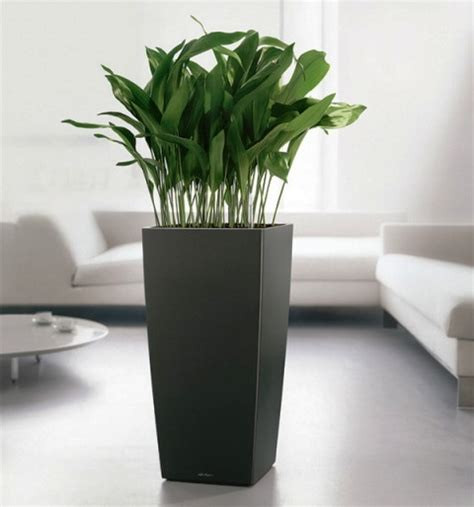 Best ideas about Large Indoor Planters
. Save or Pin Indoor Plant Pots Stonespayroll Now.