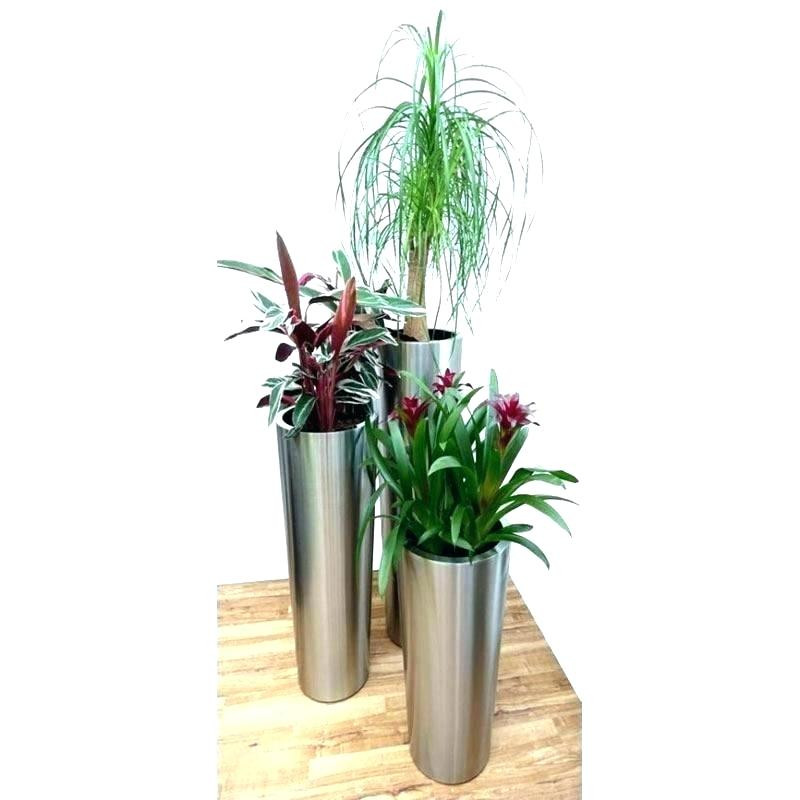 Best ideas about Large Indoor Planters
. Save or Pin large indoor planters – mathifold Now.