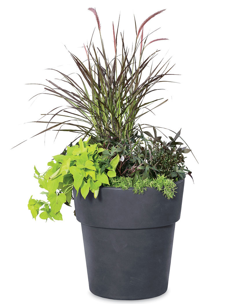 Best ideas about Large Indoor Planters
. Save or Pin Sonoma Indoor Planter Indoor Flower Pot Now.