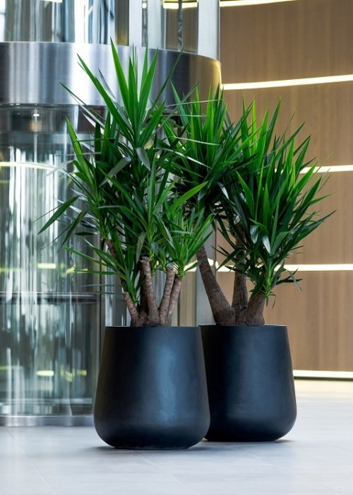 Best ideas about Large Indoor Planters
. Save or Pin How to Choose a Indoor Planter and Plant for your Home Now.