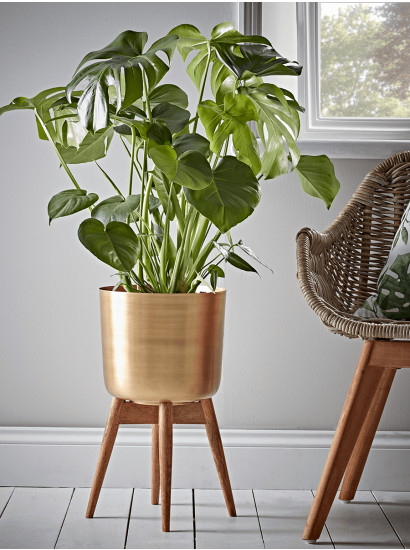 Best ideas about Large Indoor Planters
. Save or Pin Indoor Planters Decorative Indoor Plant Pots Now.