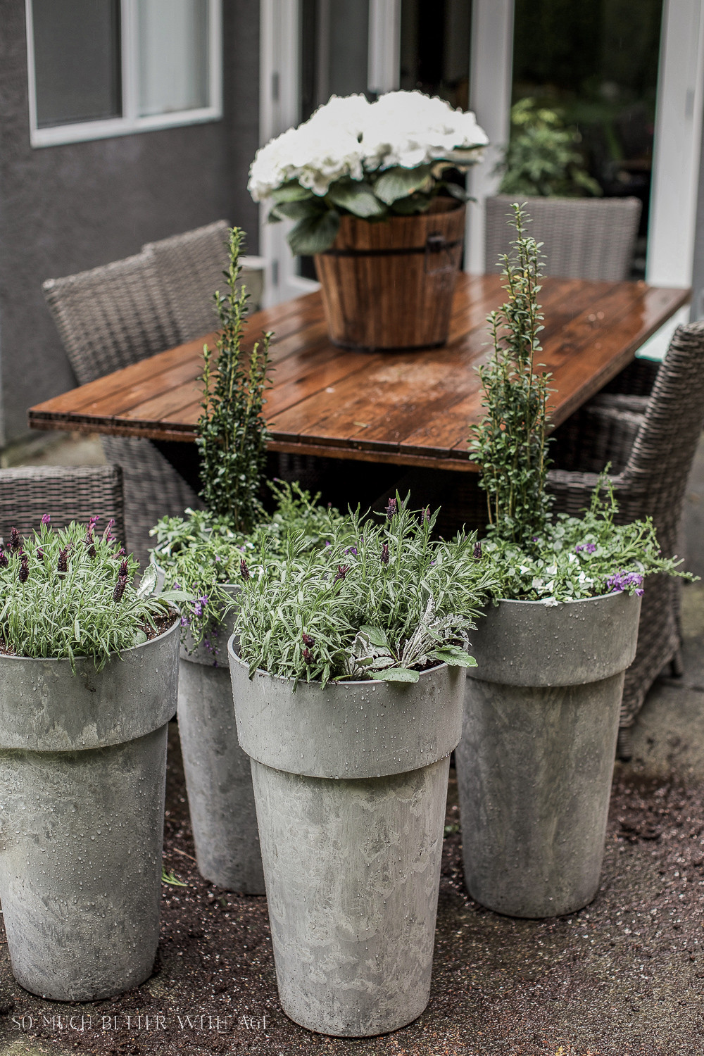 Best ideas about Large Outdoor Planter
. Save or Pin The Best Tip for Filling Outdoor Planters Now.