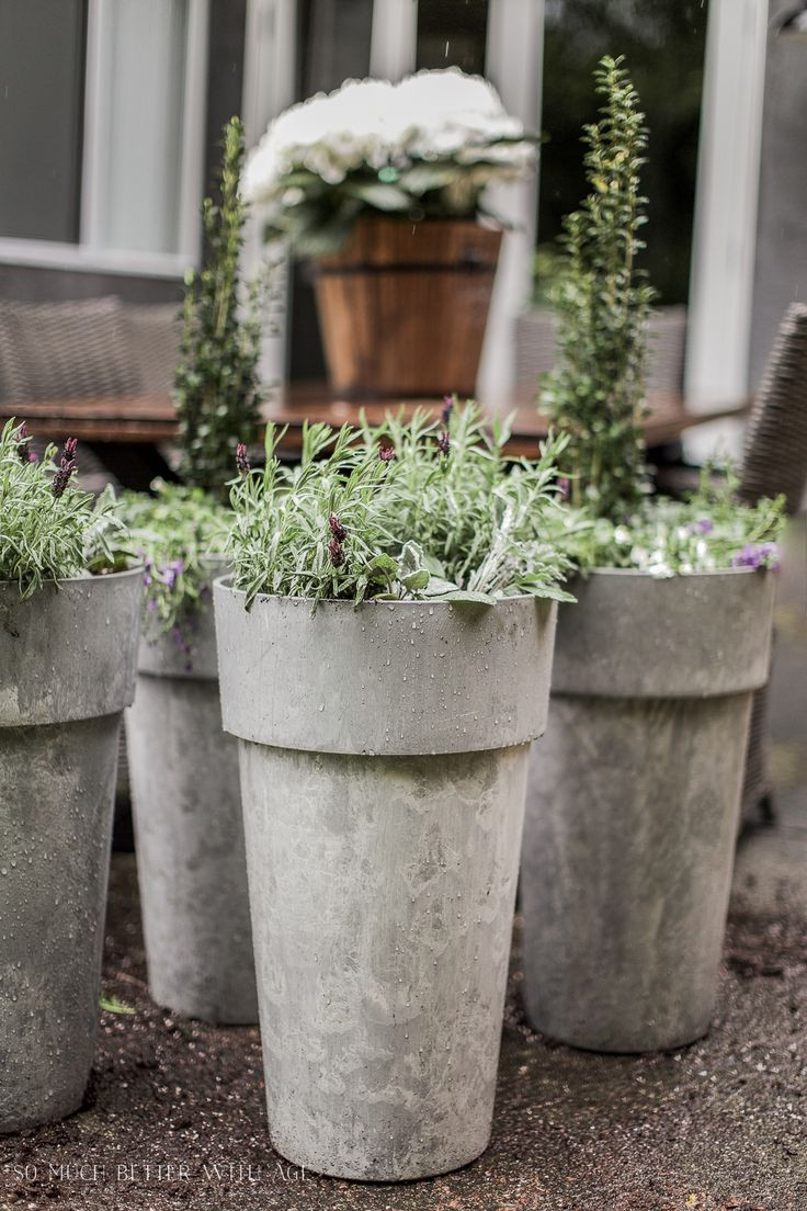 Best ideas about Large Outdoor Planters
. Save or Pin 17 best ideas about Outdoor Planters on Pinterest Now.