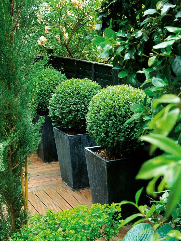 Best ideas about Large Outdoor Planters
. Save or Pin Best 25 garden pots ideas on Pinterest Now.